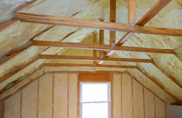 Professional Insulation Contractor in Three Lakes, WA