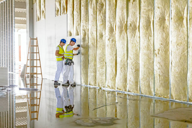 Best Cellulose Insulation in Three Lakes, WA